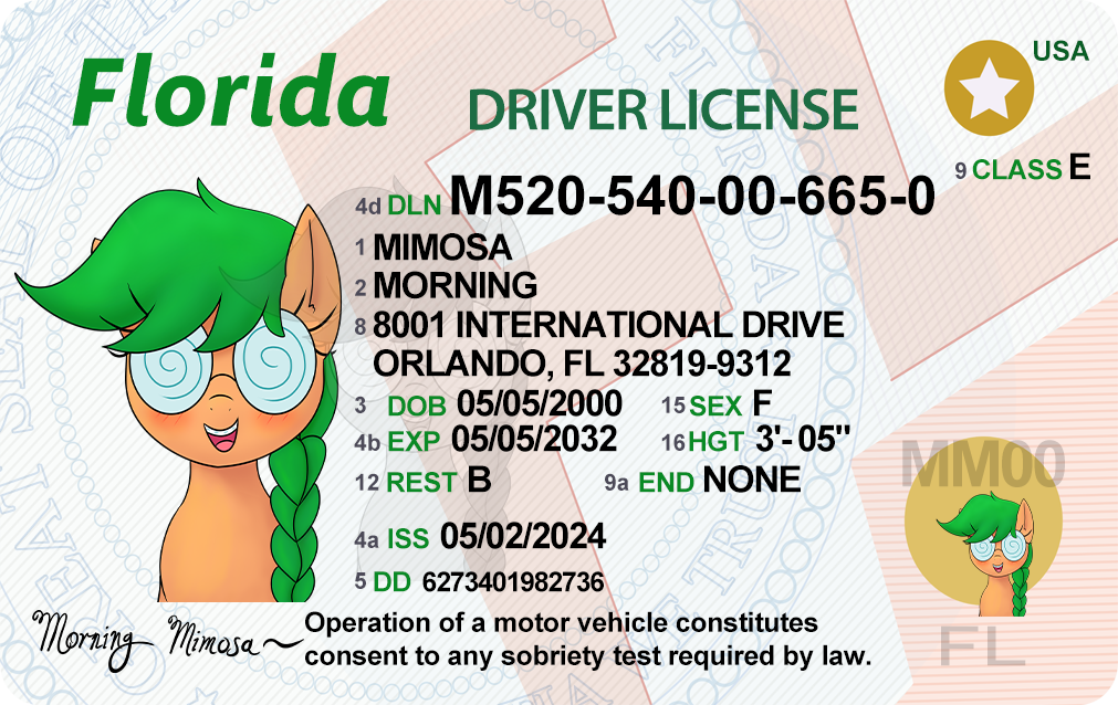 Morning Mimosa's Driver's License